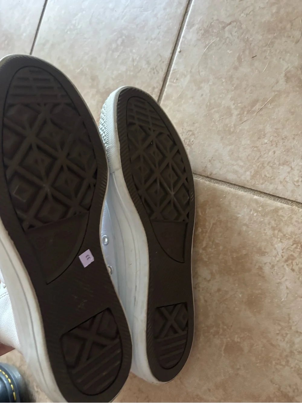 Converse Women's White Trainers